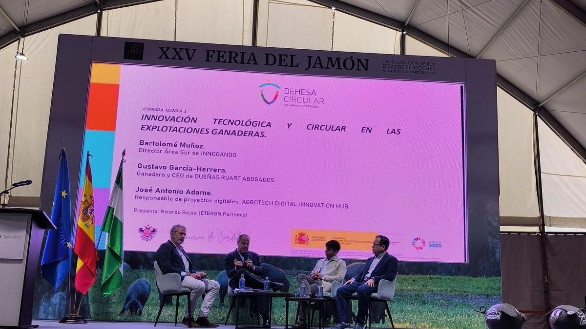 Imagen de la propuesta 'Dehesa circular'.