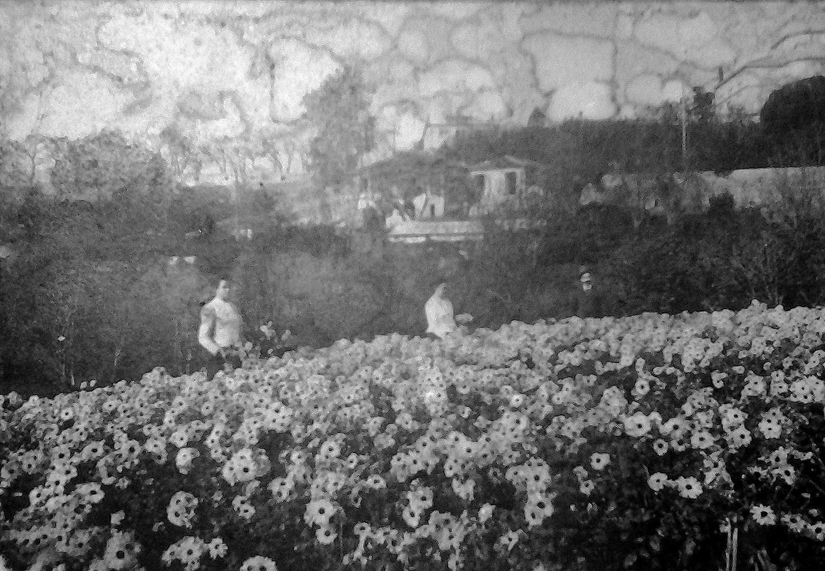 Imagen de la finca original de Las Floristas, en Santander.
