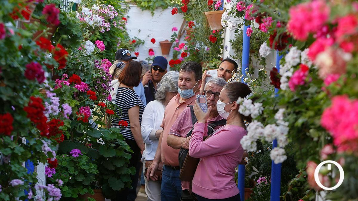 Patio Marroquies,6 - 2022