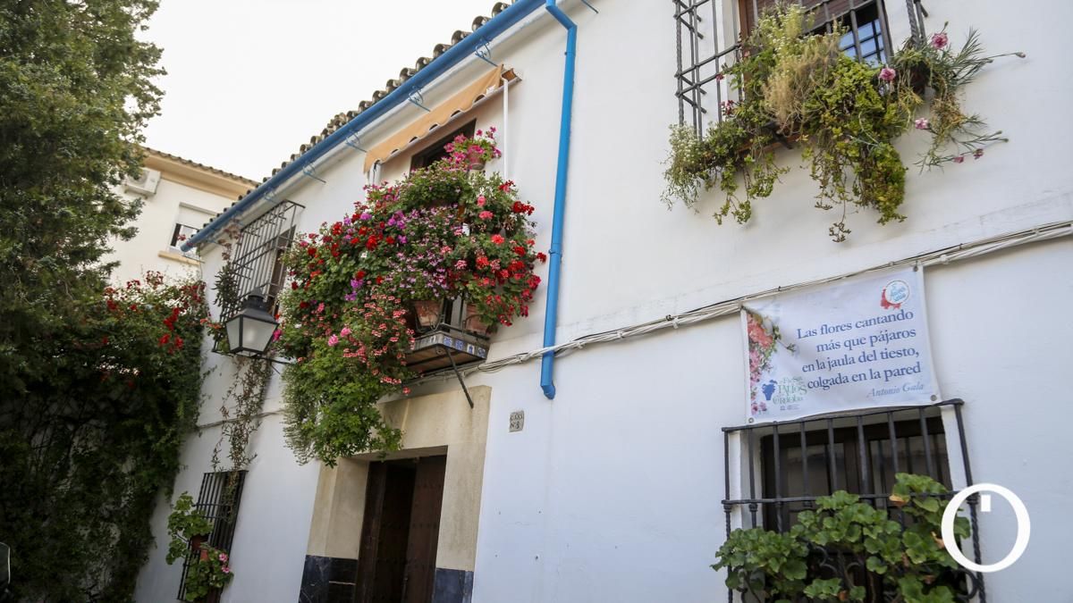 Rejas y Balcones en la C/ San Juan de Palomares, 8
