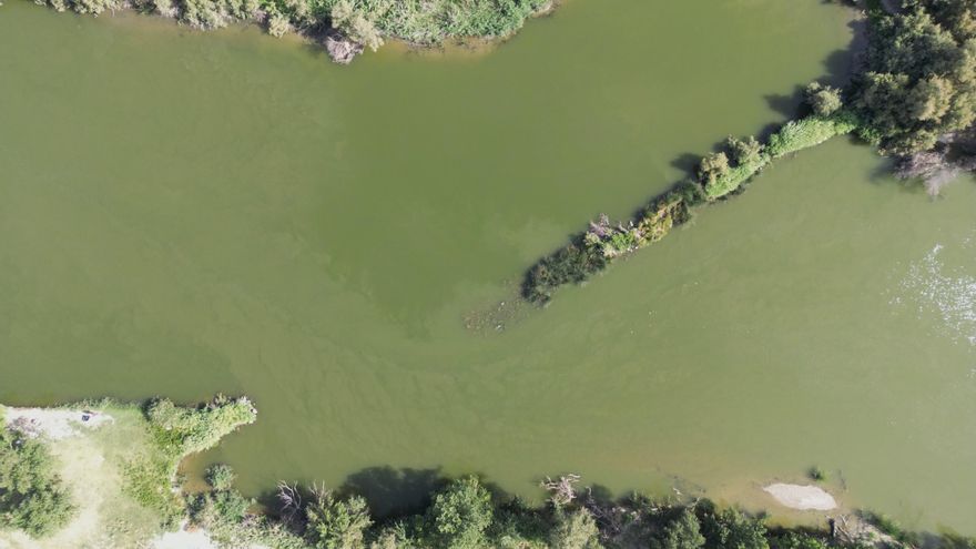 Azudes, molinos, huertos de ribera o espigones defensivos: el patrimonio inédito de la ribera del Tajo en Toledo