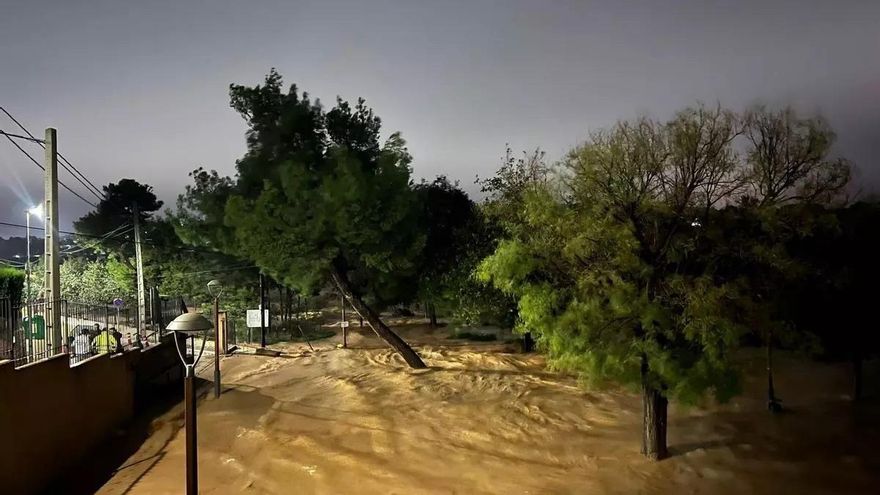 Atrapados por las inundaciones en Valencia: “No quería morir, salí por la ventana del auto y el agua se lo llevó”