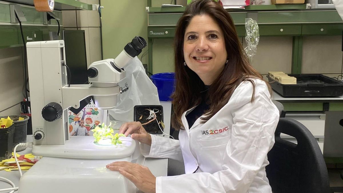 La investigadora del IAS Sara Fondevilla.