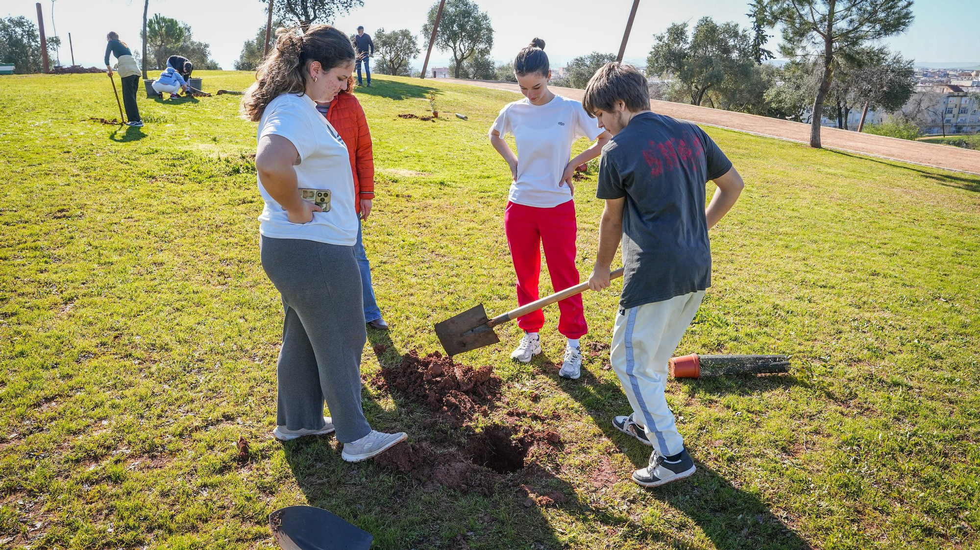 Primera plantación de EnArbolando Córdoba en La Asomadilla