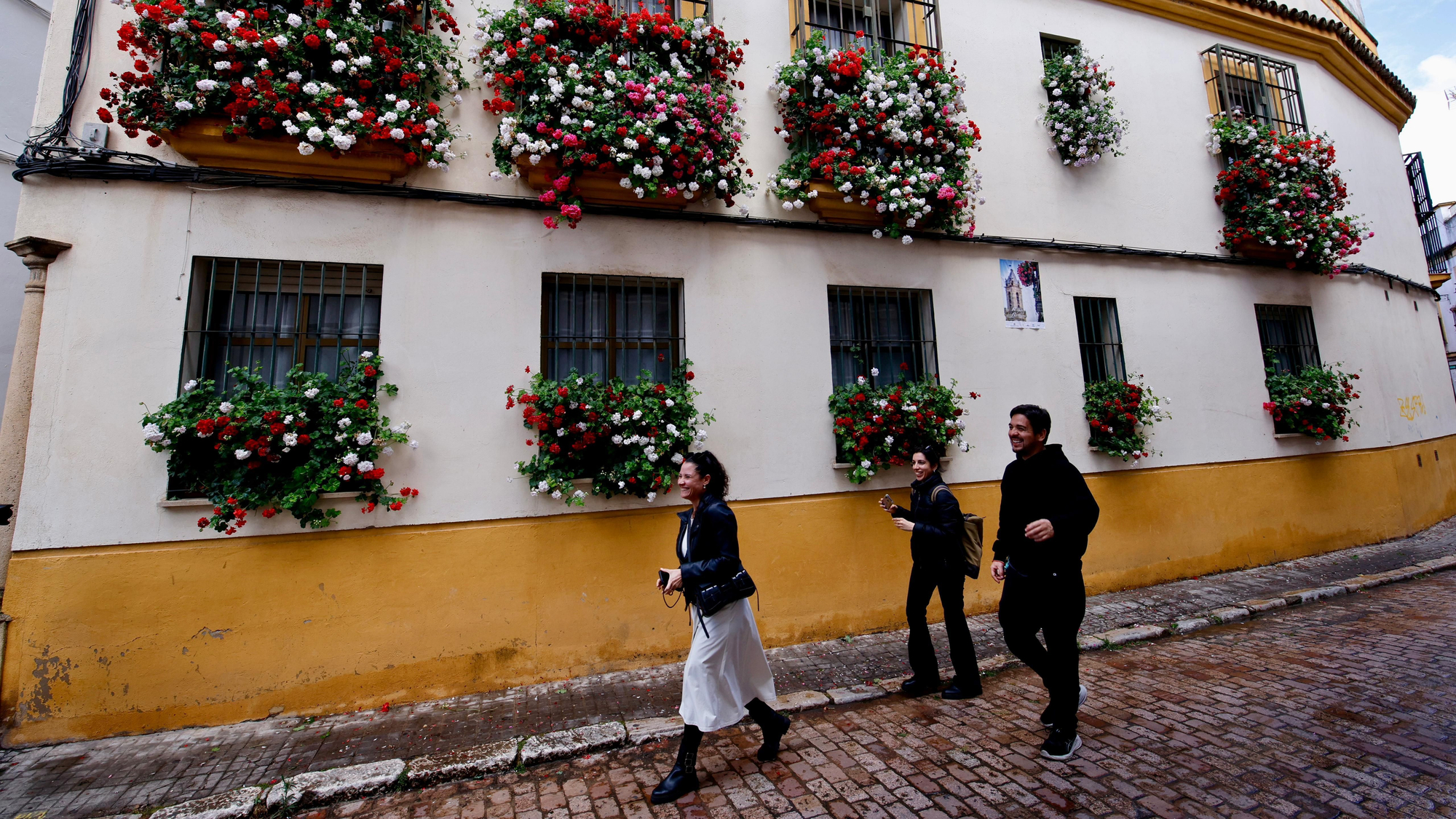 Primer premio de Rejas y Balcones en Fernán Pérez de Oliva, 7