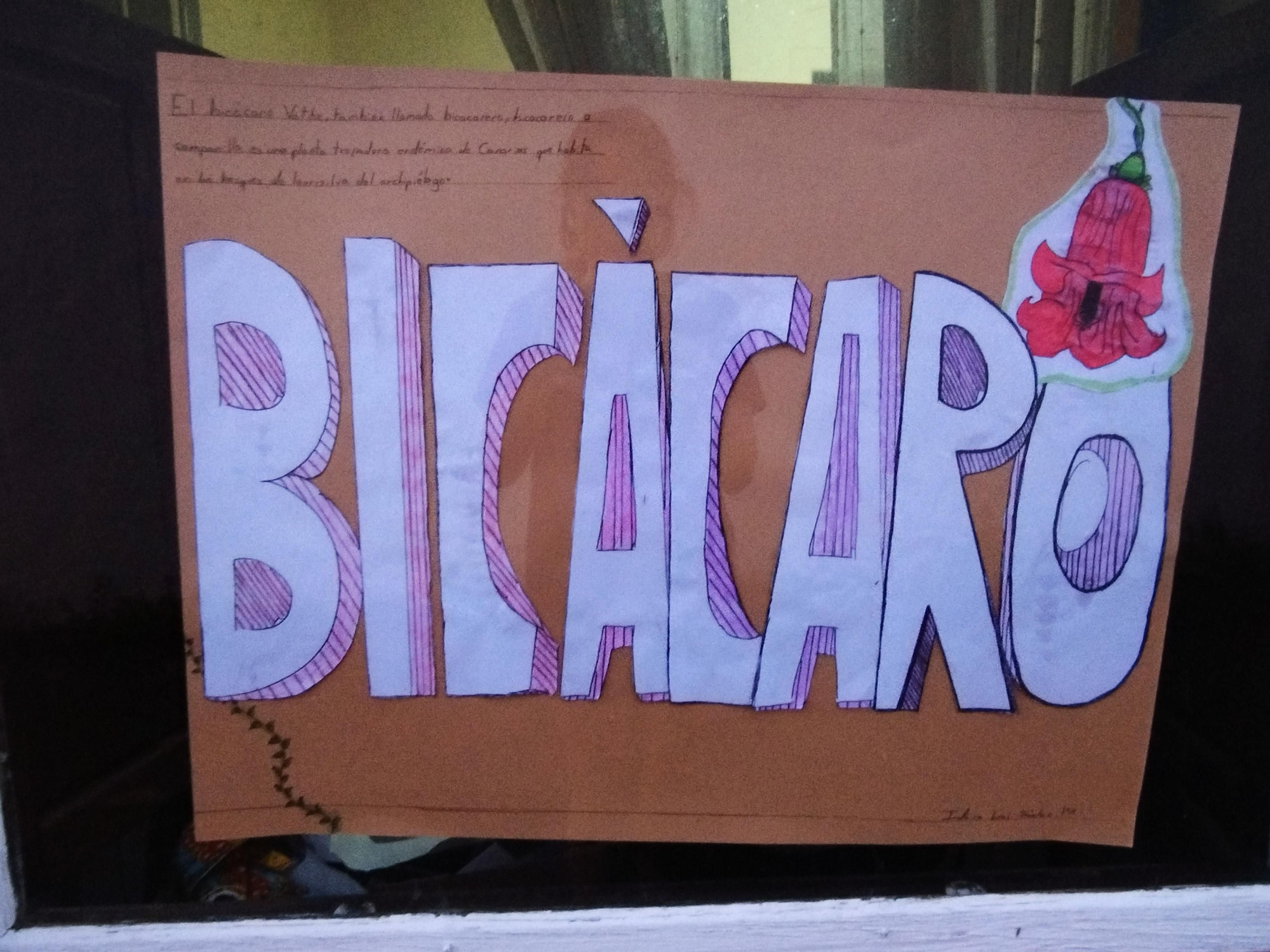 Cartel con la palabra 'bicácaro'. IDAIRA y DEREK