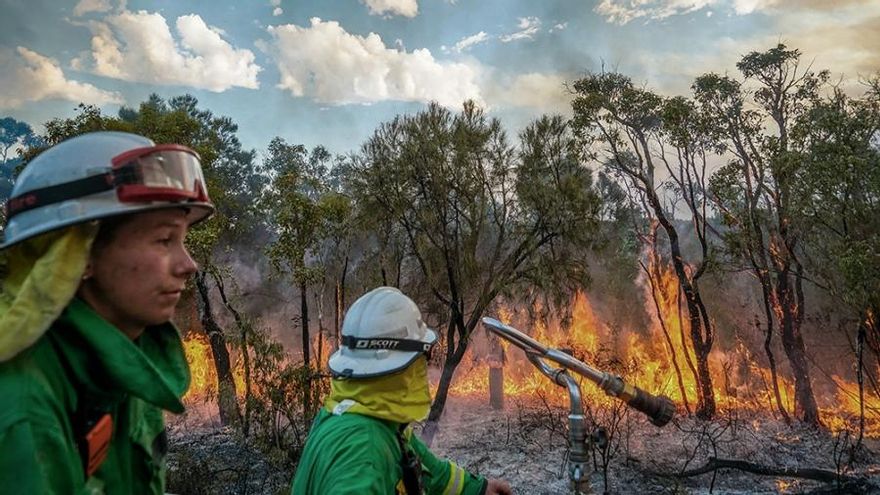 Australia, en alerta máxima por incendios forestales e inundaciones