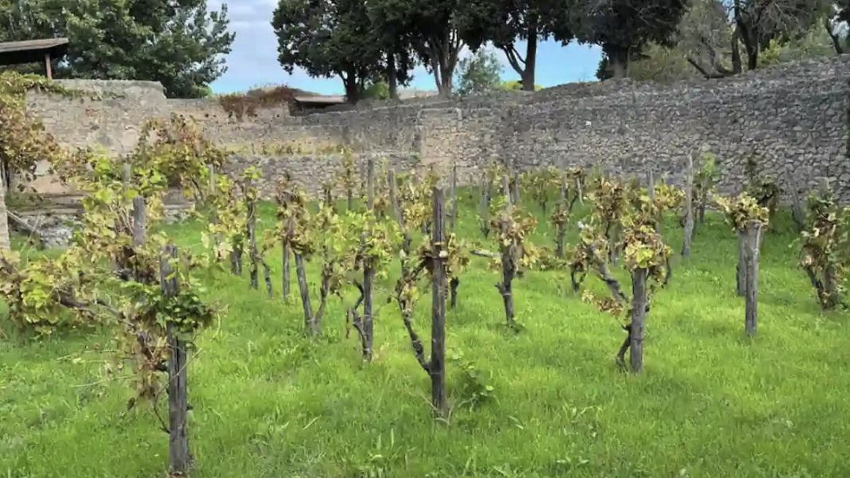 Dos normas del Senado permitían tirar inmuebles en ruina sin castigo