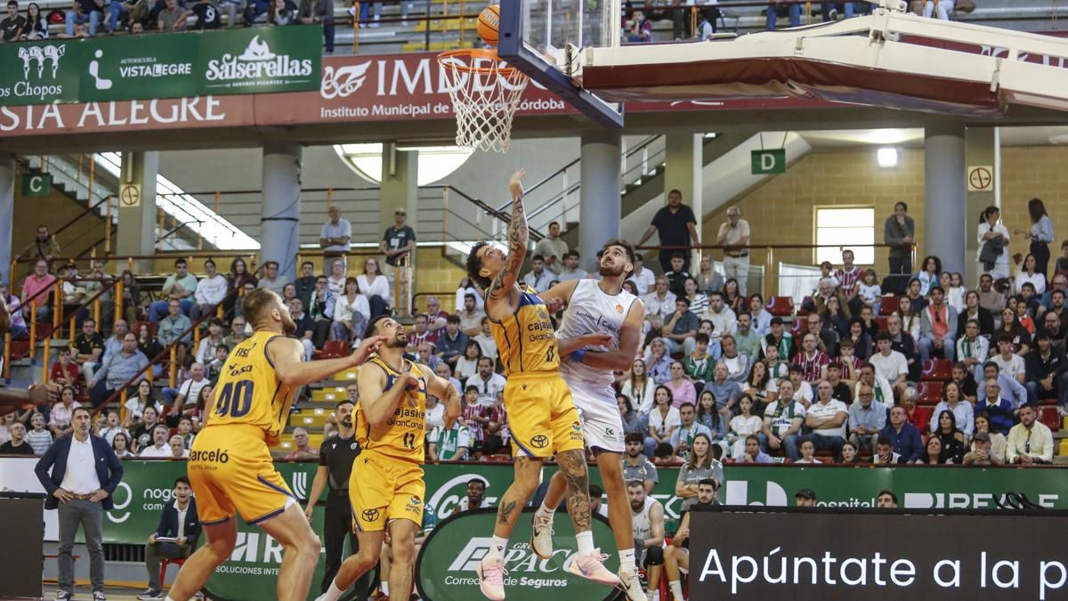 Cajasol Coto Córdoba - Cajasiete Gran Canaria