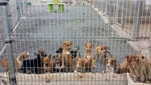 Refugio Acción del Sol en Facebook