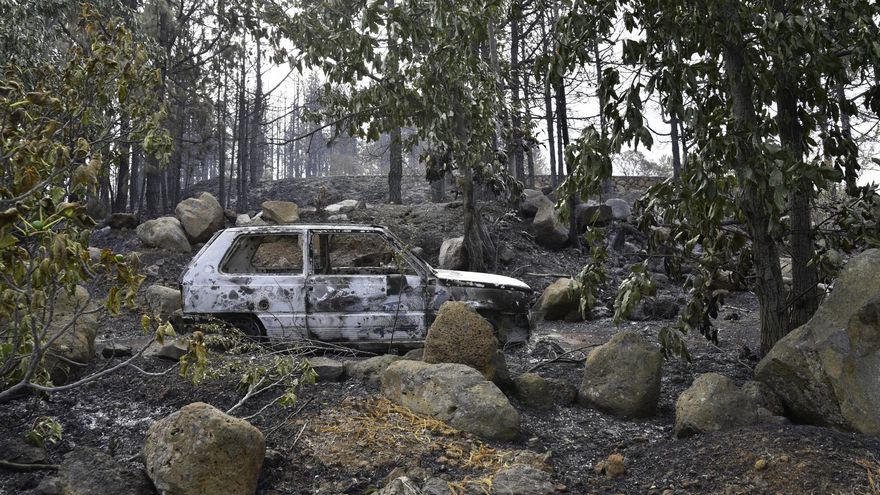 Daños ocasionados por el incendio forestal de La Palma en el municipio de Tijarafe. EFE/Miguel Calero