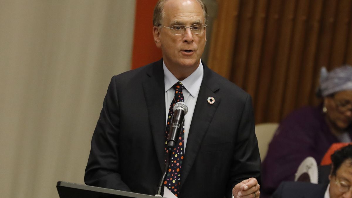 Larry Fink, presidente y CEO de BlackRock. EFE/PETER FOLEY/Archivo