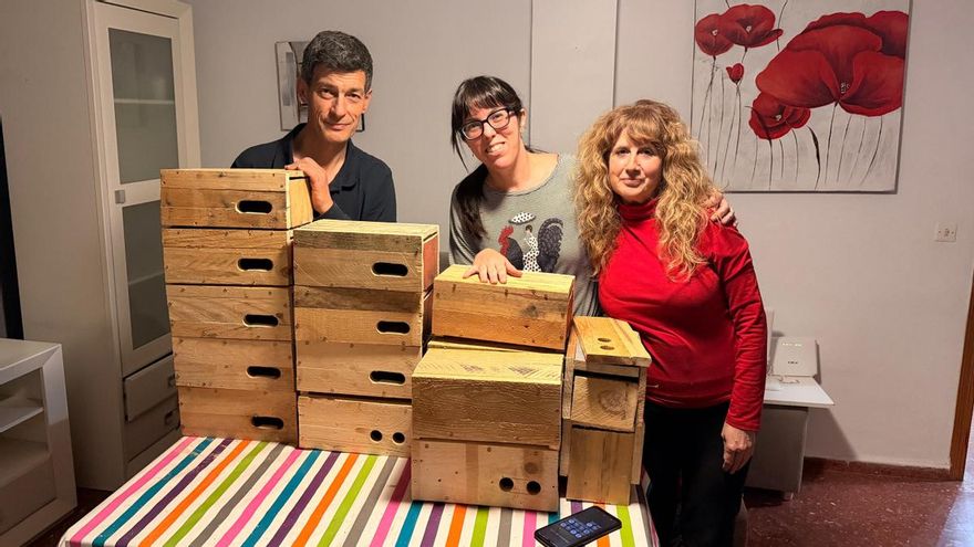 Entregan cajas nido al Hospital Provincial para que sustituyan a los nidales de vencejos inutilizados por las obras