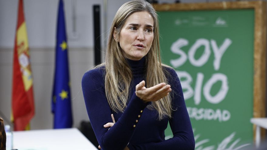 España asumirá la vicepresidencia de la Asamblea de la Agencia Internacional de Energías Renovables