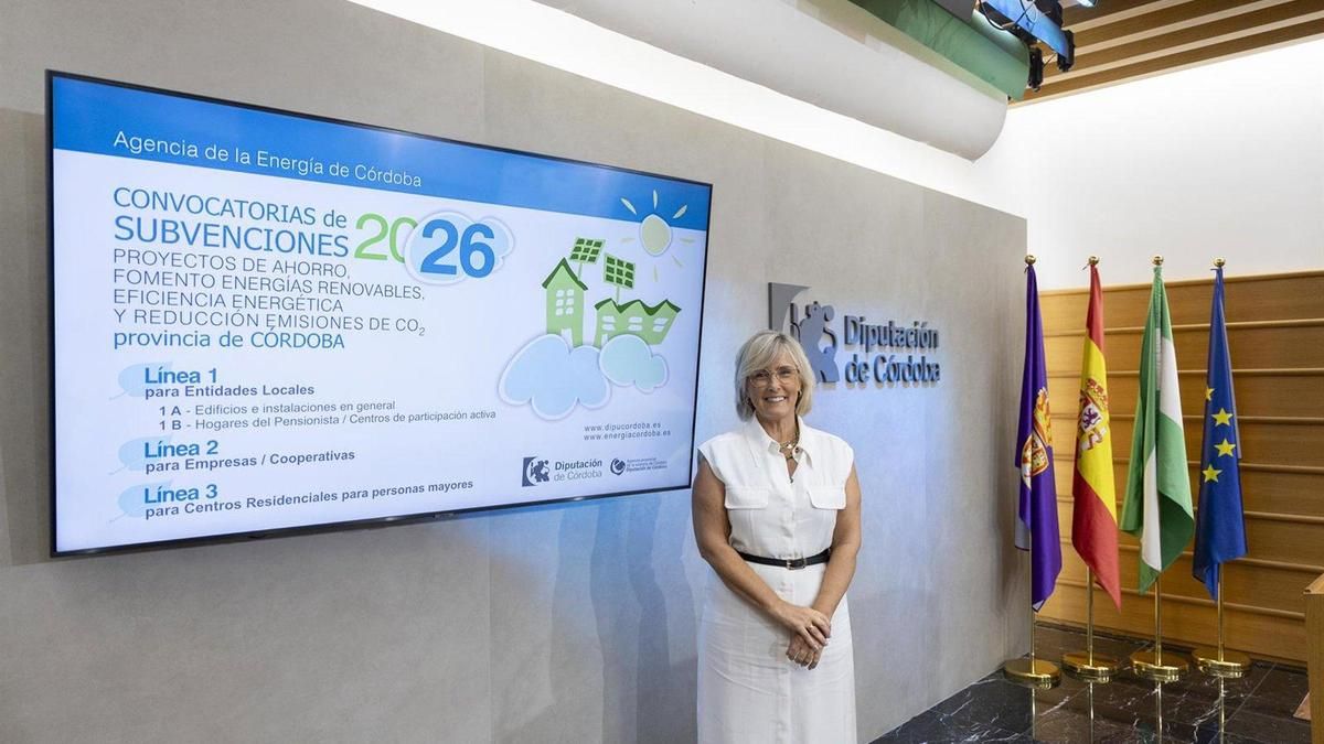 La Diputación sube a 1,8 millones las ayudas de la Agencia de la Energía para eficiencia energética