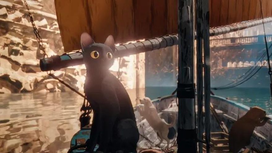 Adorable gatito robando corazones y premios