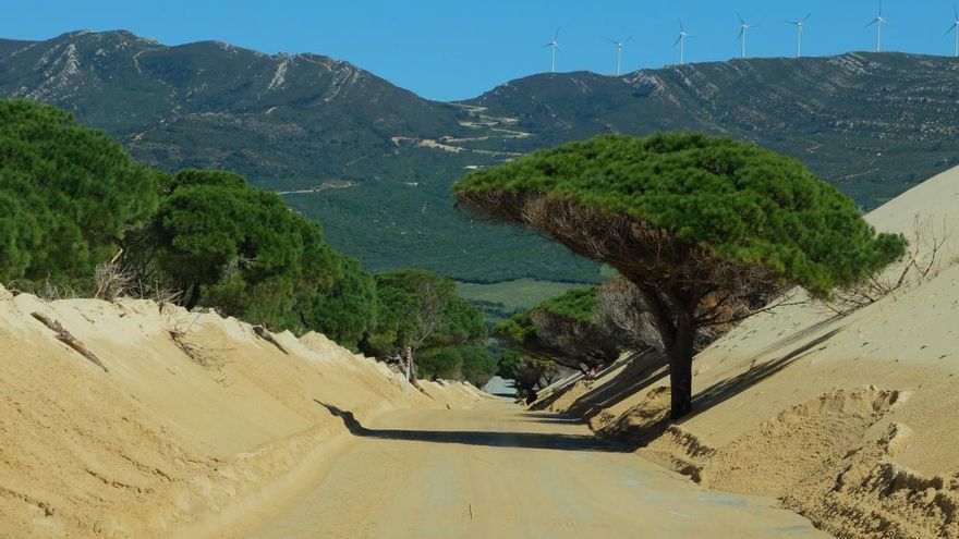 Llegar hasta las playas de esta zona de Cádiz es todo un espectáculo.