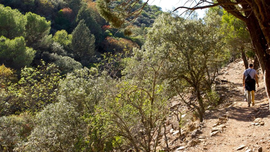 Otoño en Despeñaperros: un fin de semana de naturaleza y cultura con la berrea como excusa