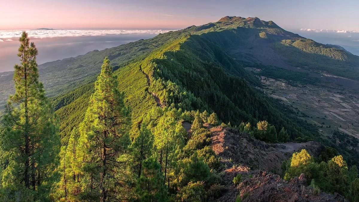 Hilera de La Cumbre. SAÚL SANTOS