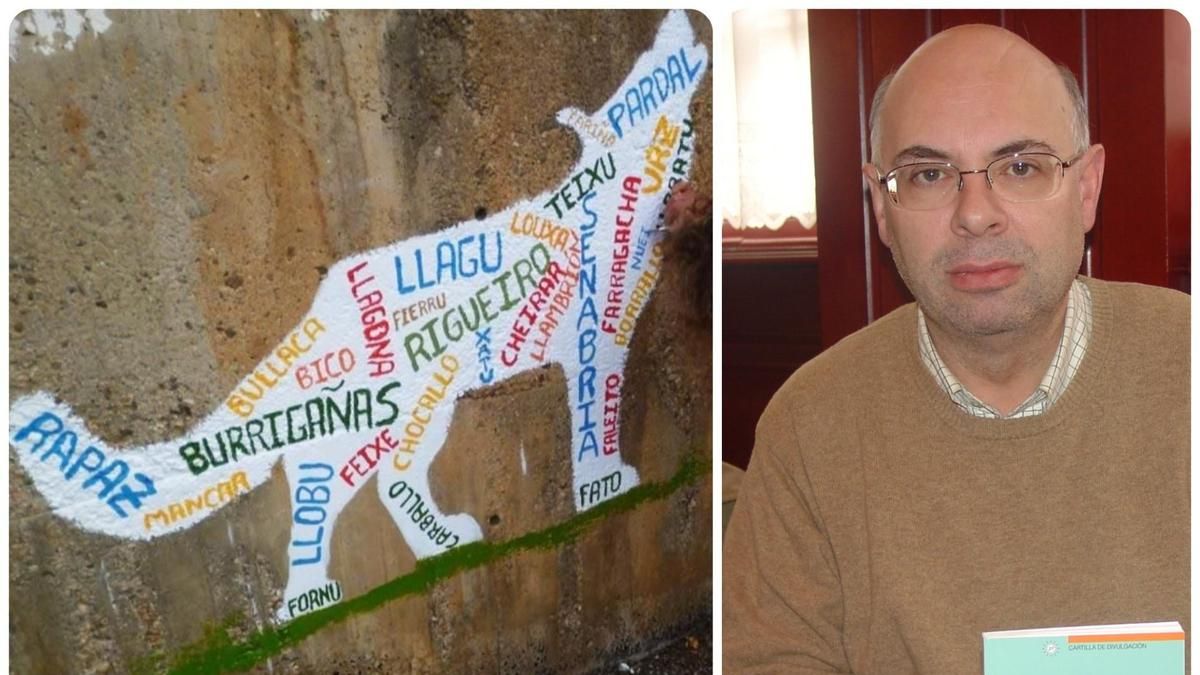 Un estudio rescata el saber popular leonés del tiempo y las estaciones escondido en los refranes de animales