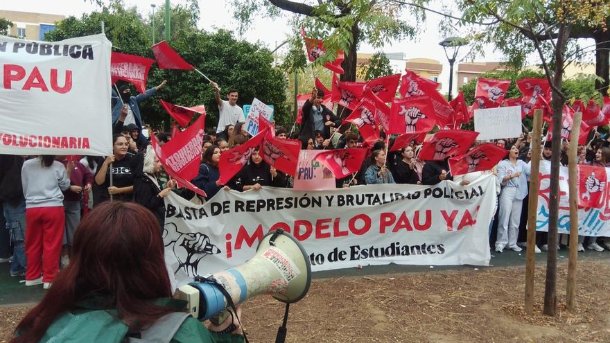 "Queremos estudiar, no improvisar": estudiantes andaluces protestan en las calles por la "incertidumbre" de la PAU