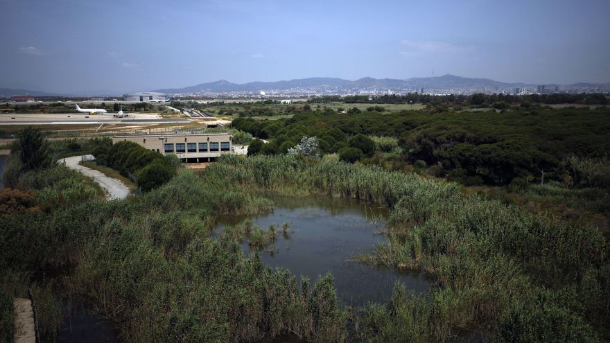 Bruselas advierte a Illa que debe cumplir con las protecciones naturales pendientes antes de tramitar la ampliación de El Prat