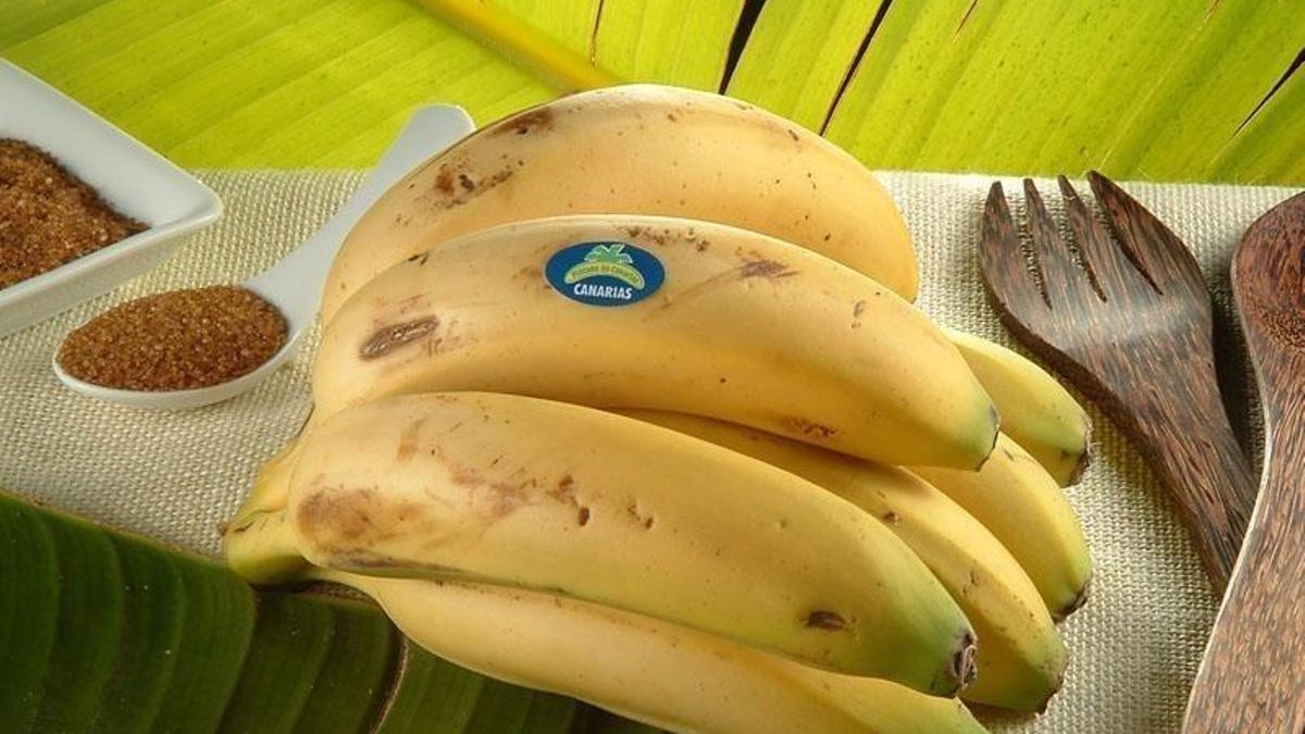 Organizaciones agrarias piden responsabilidades a quienes no han evitado "el hundimiento del precio del Plátano de Canarias"