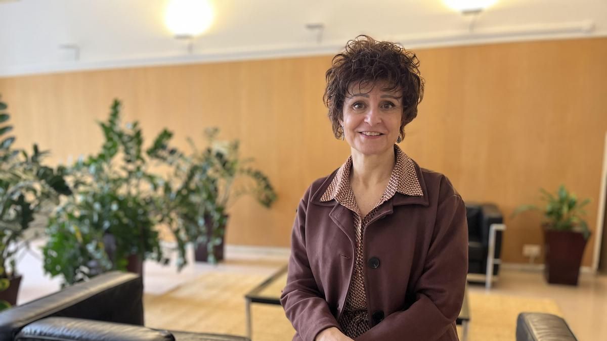 El Ayuntamiento de Logroño prevé ahorrar 800.000 euros al año con un nuevo modelo de compra de energía eléctrica