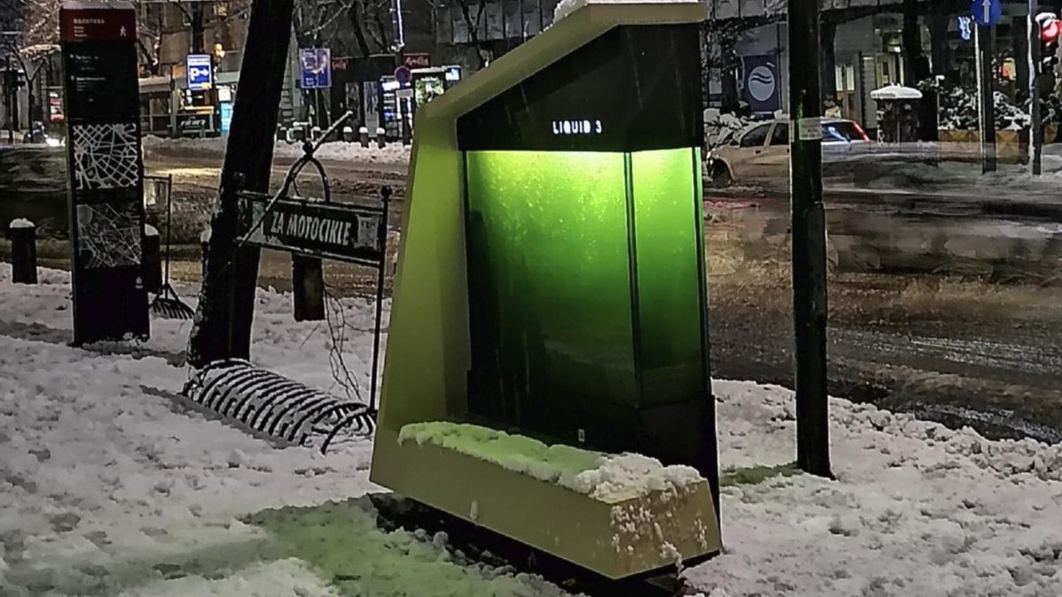 El equipo explica que este sistema puede equivaler a varios ejemplares maduros o a grandes superficies verdes