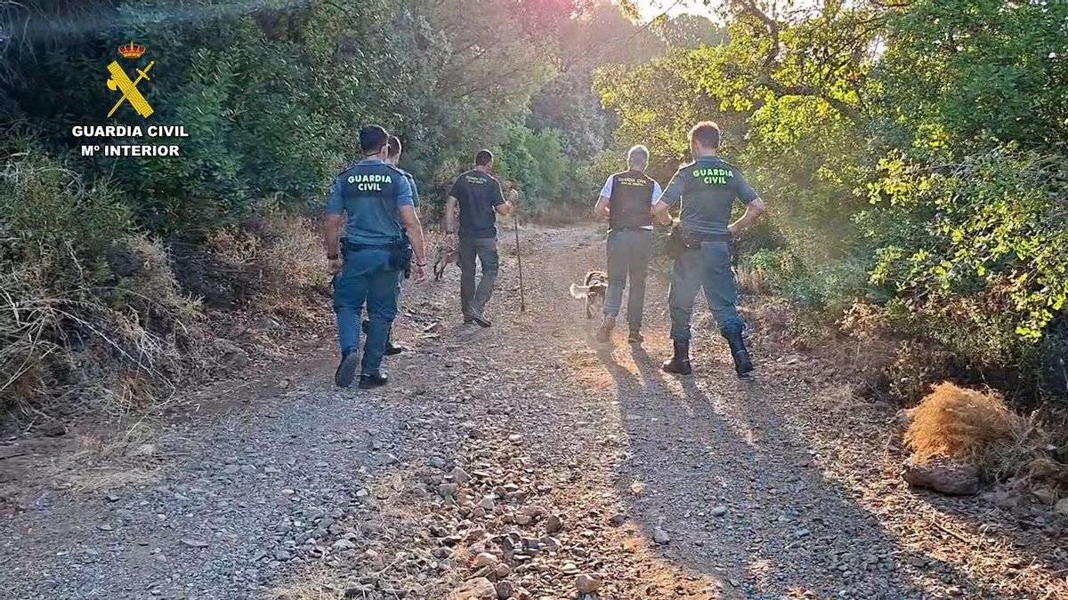 El Seprona, investigando el abatimiento de un halcón abejero.