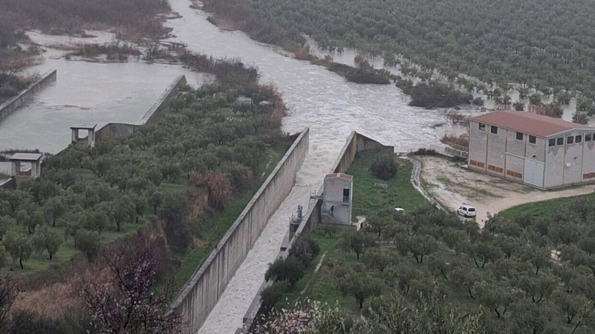 El desembalse de agua desde el pantano de Vadomojón y las intensas lluvias están anegando los olivares del entorno en Albendín, Baena.