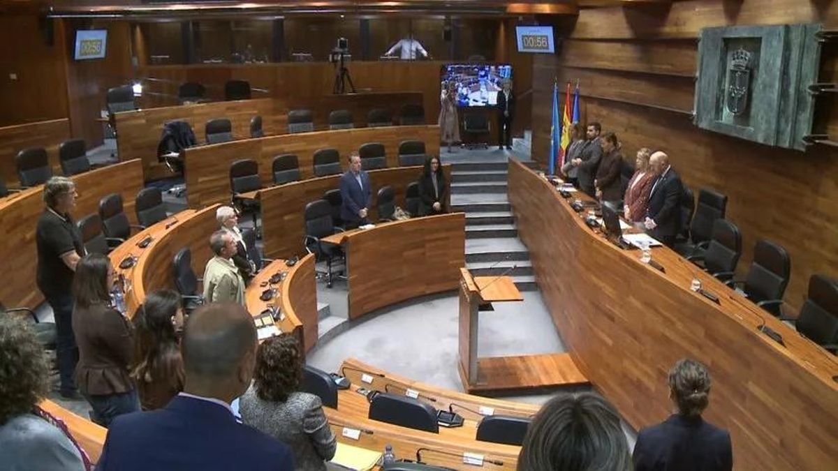 El Parlamento asturiano guarda un minuto de silencio por Maricarmen con la ausencia de PP, Vox y Foro