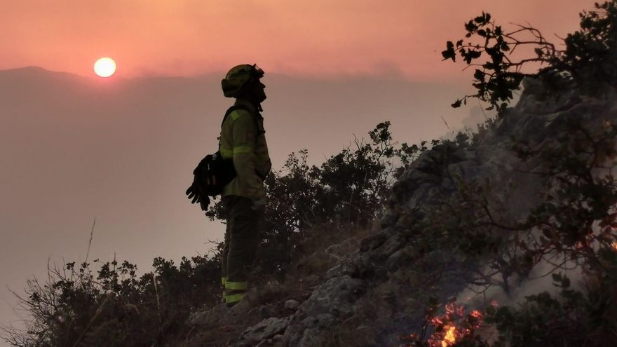 Sentencia contra la Junta de Andalucía por vulnerar el derecho de huelga de sus bomberos forestales