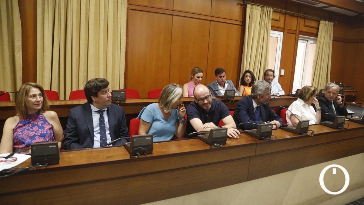 Pleno Extraordinario organizativo