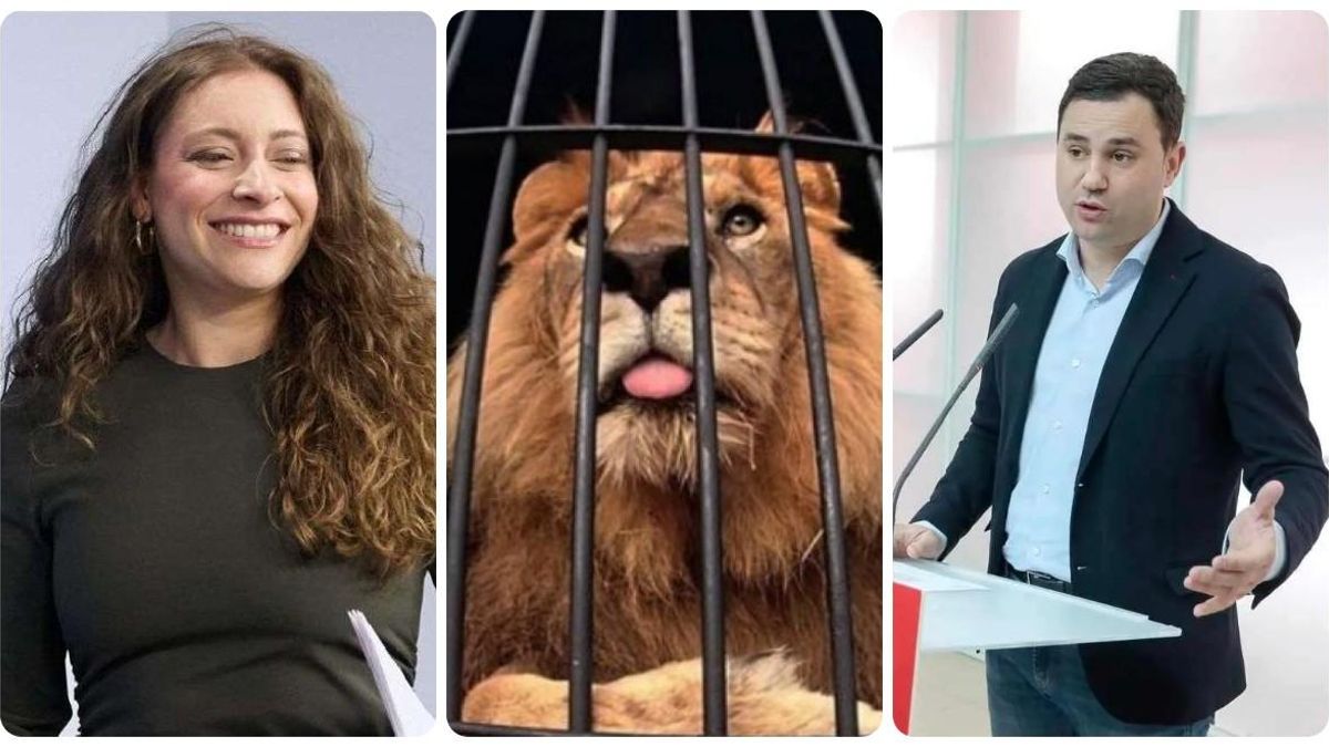 Ester Muñoz, un león enjaulado y Javier Alfonso Cendón.