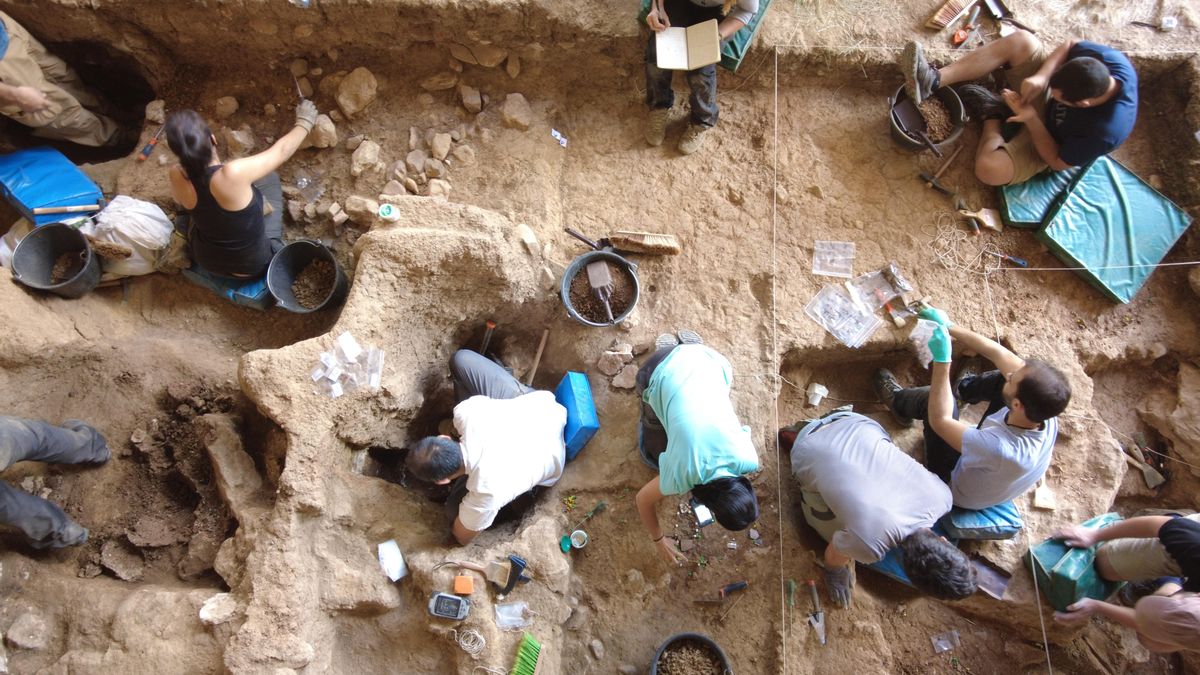 Así eran los caballos más antiguos del linaje ibérico que se han encontrado en un yacimiento de Guadalajara