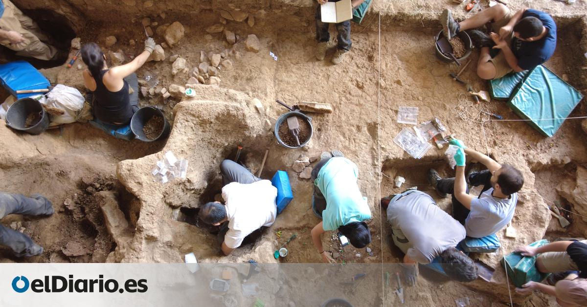 Así eran los caballos más antiguos del linaje ibérico que se han encontrado en un yacimiento de Guadalajara