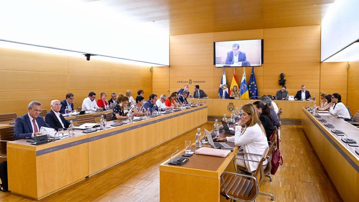 Pleno extraordinario del Cabildo de Tenerife celebrado este miércoles.