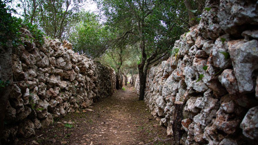 Per la meva finca no passa ningú: la 'moda' de privatitzar els senders públics a Menorca
