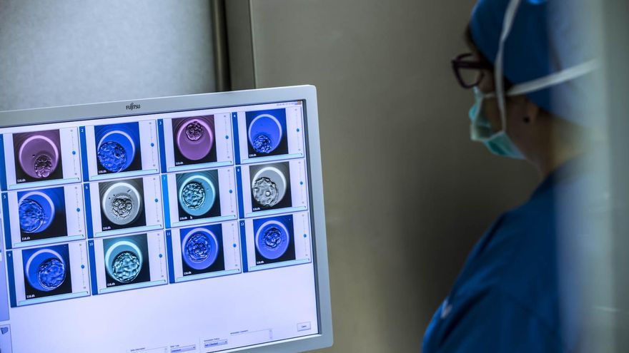 Un laboratorio consigue embriones sintéticos extrauterinos de ratones a partir de células madre