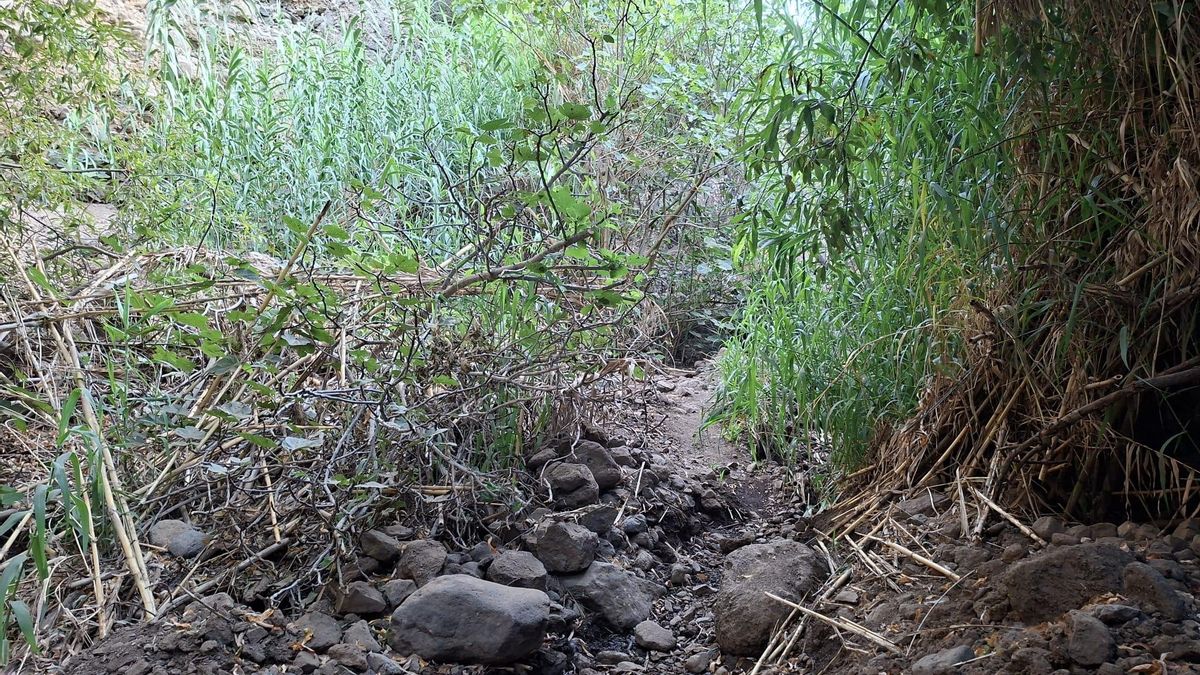 Zona en la que ha desaparecido completamente el curso habitual del agua.
