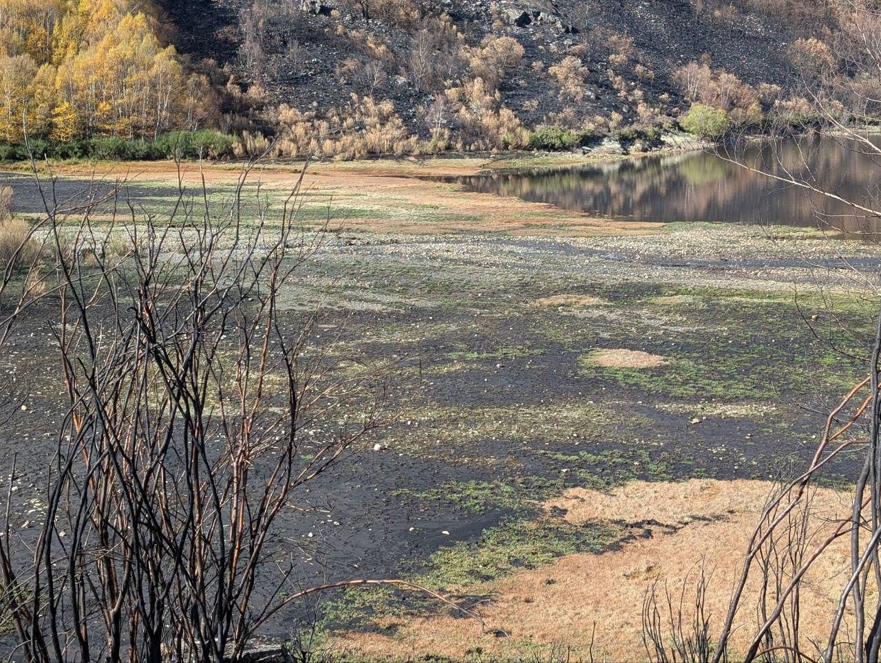El Lago de la Baña tres meses después de ser arrasado por el fuego