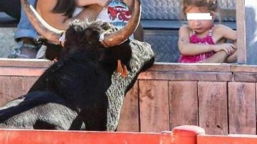 El PP tacha de “ocurrencia” del Comité de Derechos del Niño de la ONU prohibir a menores participar en festejos taurinos