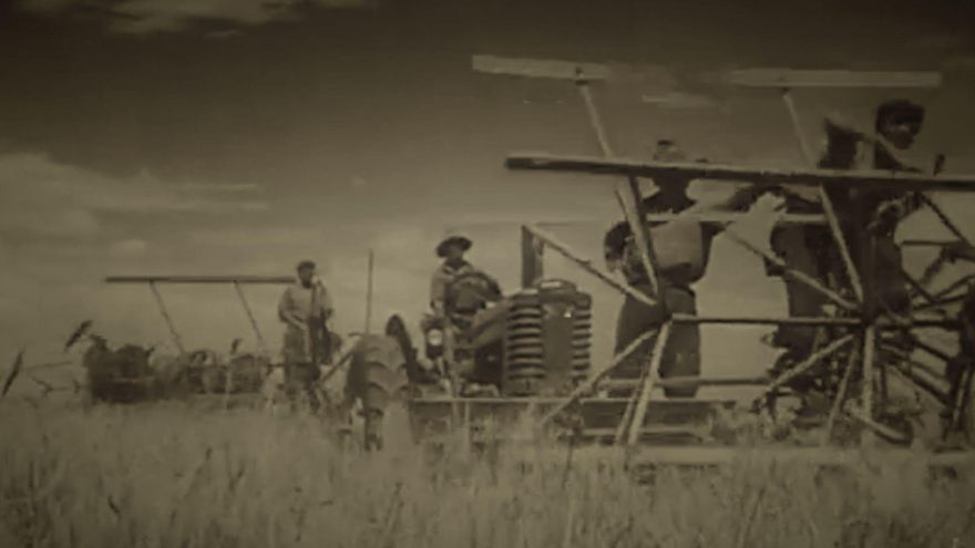 Imagen del documental ‘Espigas rojas, tierras pardas’ en la que se ven labores de campo