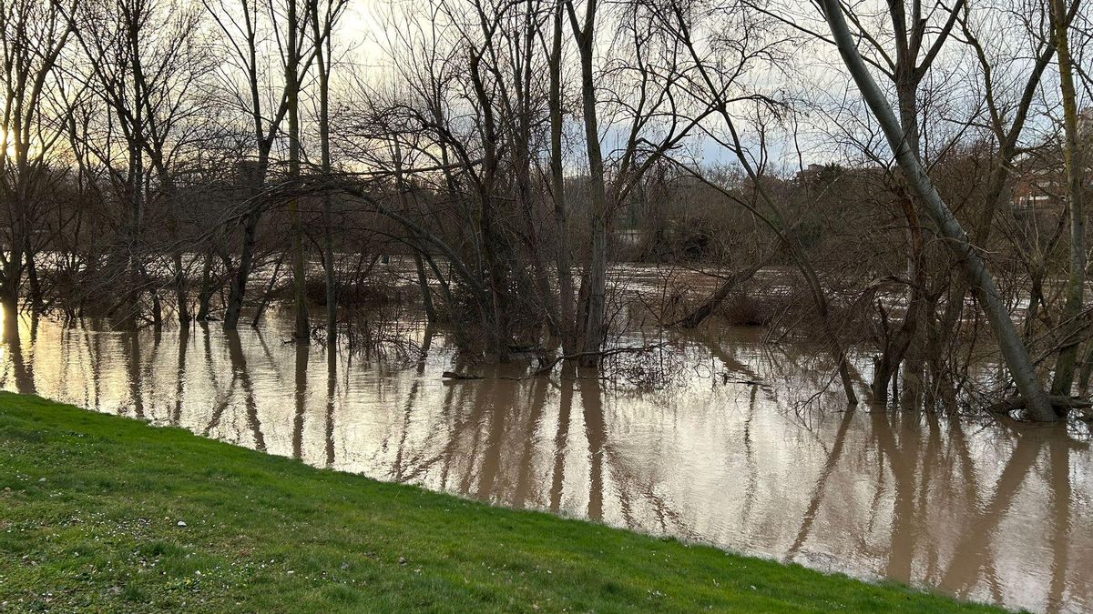 Logroño mira al Ebro: la mayor crecida se espera este domingo por la tarde