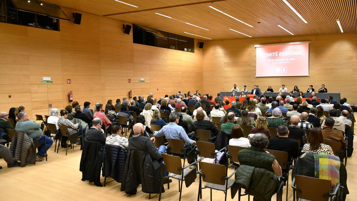 El PSOE celebra su Comité regional señalando "la falta de liderazgo" de Capellán y acusándolo de "condenar a La Rioja a la irrelevancia"