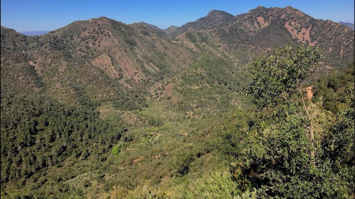 500 años de la batalla de Espadán: la tragedia de los núcleos mudéjares de Onda