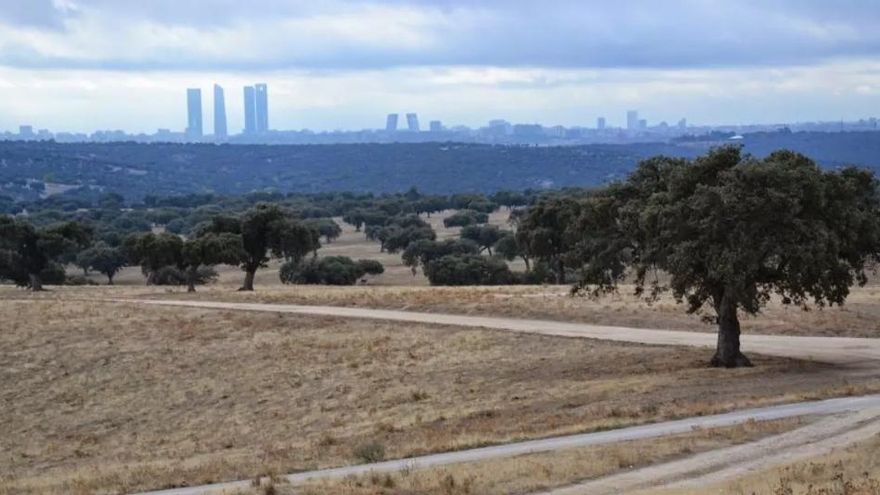 Patrimonio Nacional anuncia que estudia la apertura de El Pardo a visitas sin concretar la fórmula: "Está por definir"