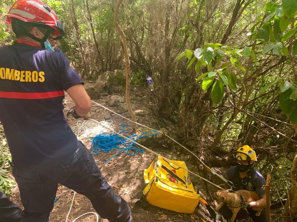 Un momento del rescate del perro por parte de los bomberos en una ladera de La Galga.