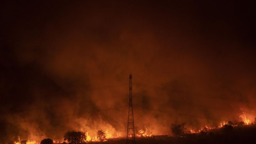 Castilla y León, la comunidad con más negacionistas del cambio climático, según un estudio